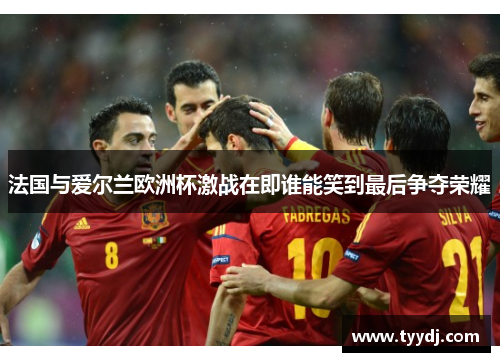 法国与爱尔兰欧洲杯激战在即谁能笑到最后争夺荣耀